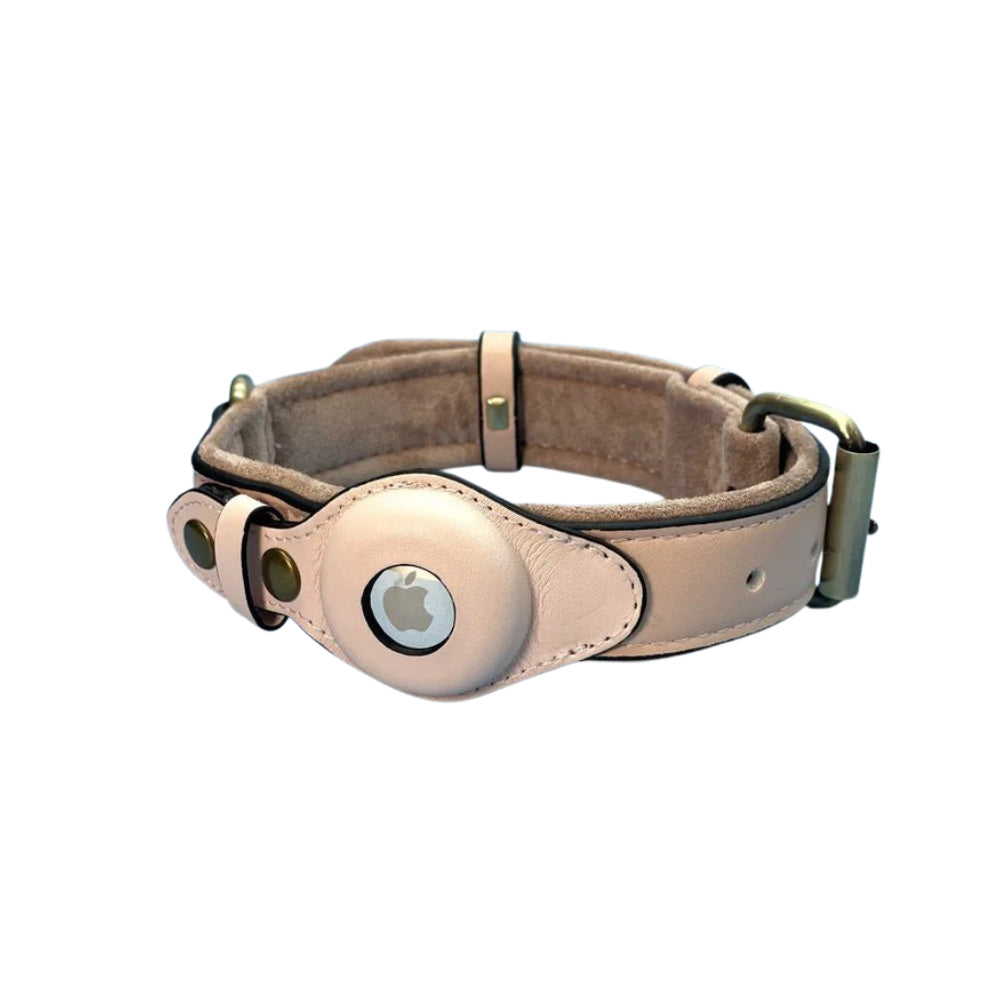 Collare per cani con supporto sicuro per AirTag