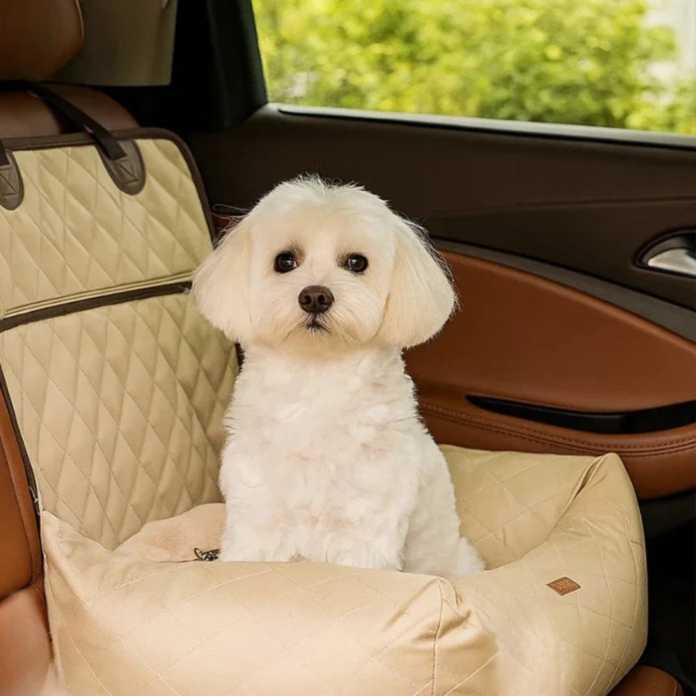 Seggiolino Auto per Cani